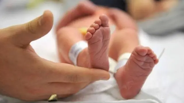 ప్రసూతి సెలవులు