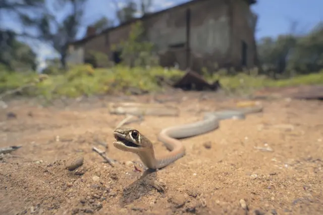 Behayo sozlar bilan rus jinsiy aloqa Porno yulduz Katarina Dubrova