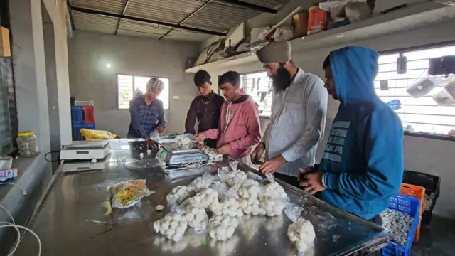 ਮਸ਼ਰੂਮ ਦੀ ਖੇਤੀ