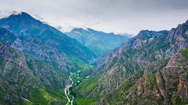 Чычкан капчыгайы