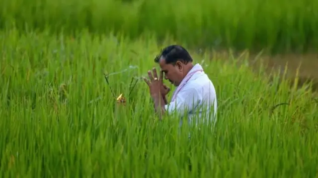 પ્રતીકાત્મક તસવીર