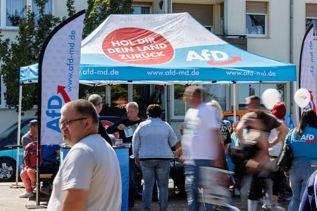 AfD'nin kampanyasında bir araya gelen destekçileri.