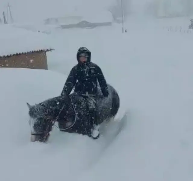 Калың карда ат минип бараткан бала