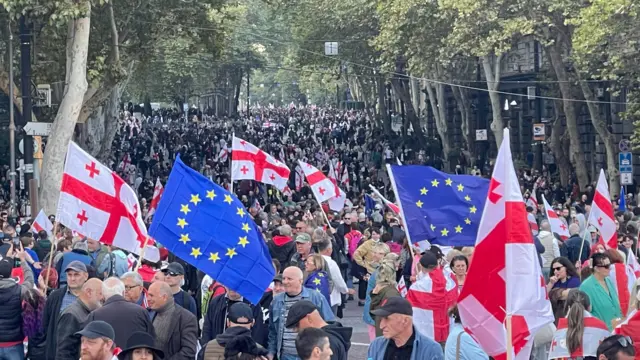 Толпа людей с флагами Грузии и Евросоюза на бульваре.