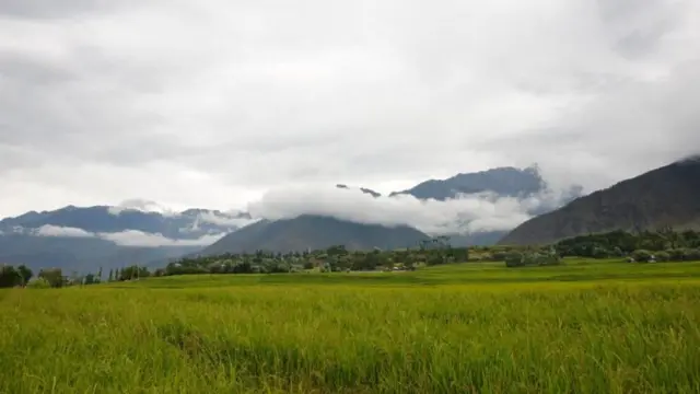 બીબીસી ગુજરાતી