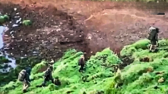 టామ్ ఫిలిప్స్, ముగ్గురు పిల్లలు 