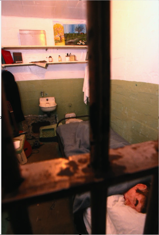 ਮਖੌਟੇ ਬਿਸਤਰੇ ਵਿੱਚ ਰੱਖਿਆ