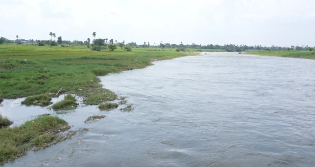 మూసీ నీటిపై ఆధారపడి వ్యవసాయం