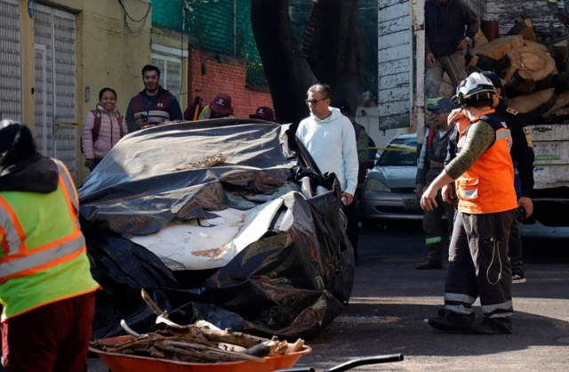 Imagen de un vehículo que fue impactado por la caída de un árbol.