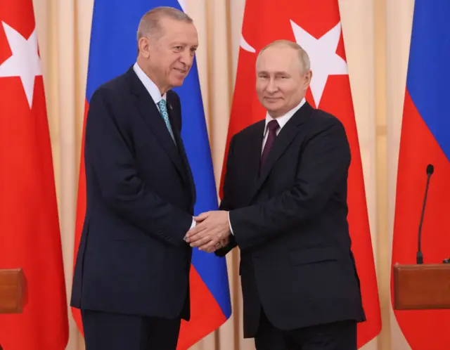 Erdoğan putin