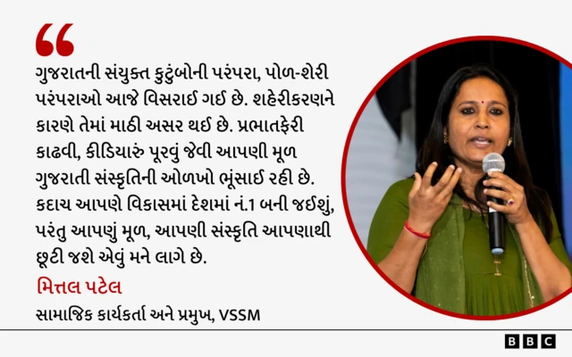 મિત્તલ પટેલ, ગુજરાતની અસ્મિતા