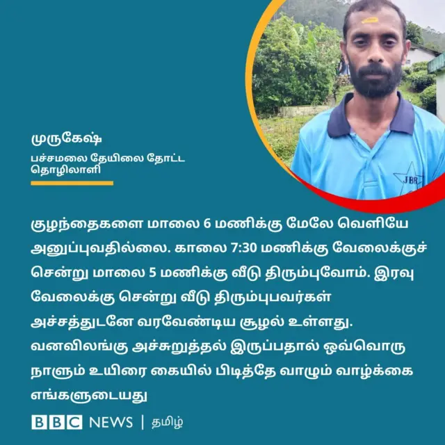 கோவை, வால்பாறை, வனவிலங்கு மோதல், சிறுத்தை தாக்குதல், தேயிலை தோட்டம்