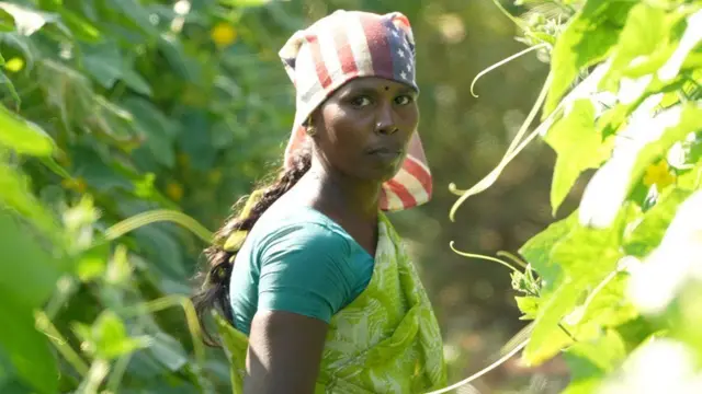 వేడి వాతావరణంలో పనిచేసే గర్భిణులకు ముప్పు పొంచి ఉంది.