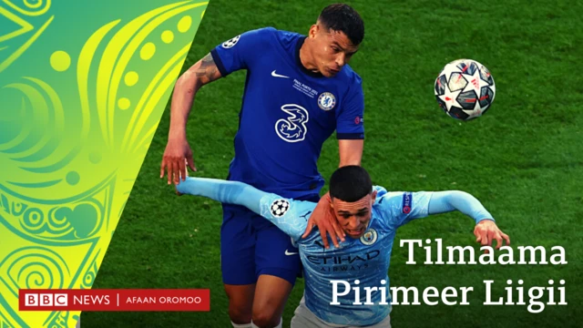 taphattoota Siitii fi Cheelsii