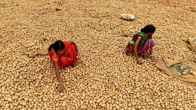 ਸੰਕੇਤਕ ਤਸਵੀਰ