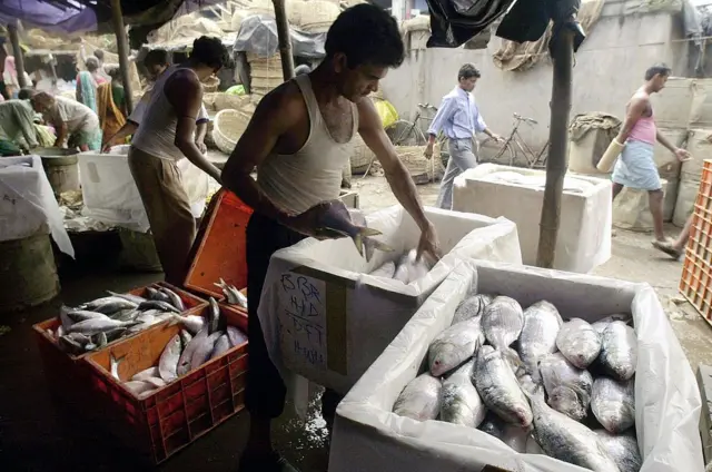 হাওড়ায় মাছের পাইকারি বাজার