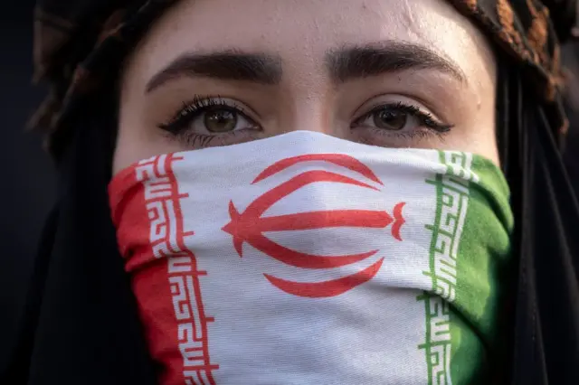 सरकार समर्थक रैली में पहुंची महिला