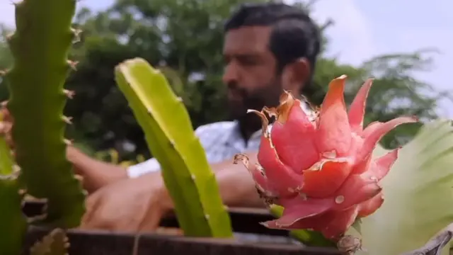 किसान