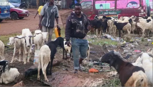 Aworan awọn to n ta ẹran ileya