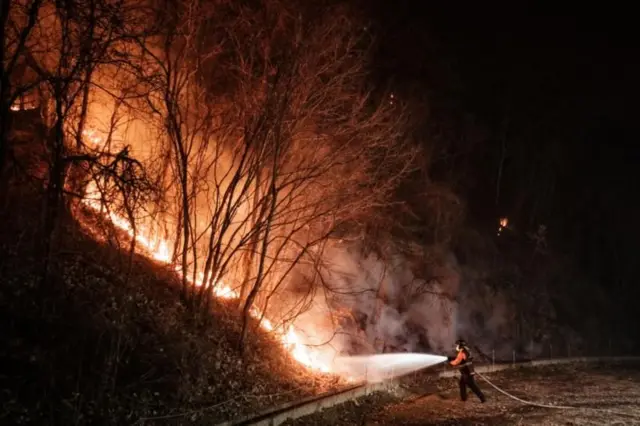 દક્ષિણ કોરિયા, આગ, દાવાનળ, બીબીસી ગુજરાતી