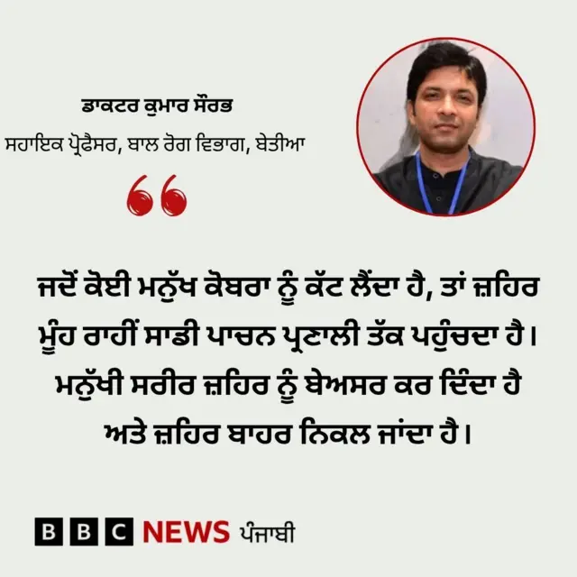 ਬੱਚੇ ਦੁਆਰਾ ਸੱਪ ਨੂੰ ਵੱਢਣ ਦਾ ਮਾਮਲਾ