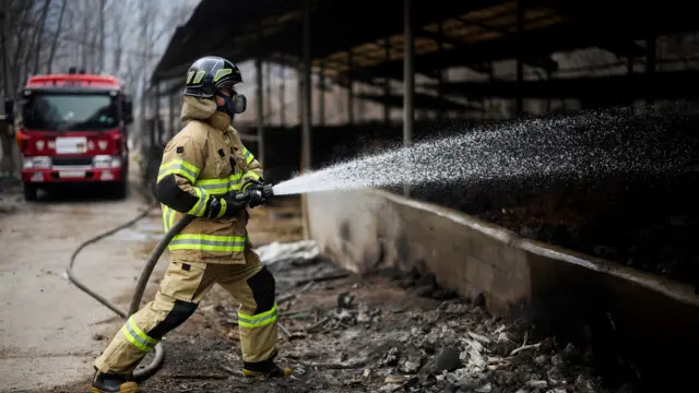 Hiljade vatrogasaca bore se da ugase požare, a trojica njih stradali su tokom tih napora
