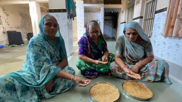 ભાલિયા ઘઉં, ગુજરાતમાં ખેતી, ઘઉંની ખેતી, બીબીસી ગુજરાતી, ભાલ પંથક, અમદાવાદ, સુરેન્દ્રનગર, ભારતમાં ખેતી, શિયાળું પાક