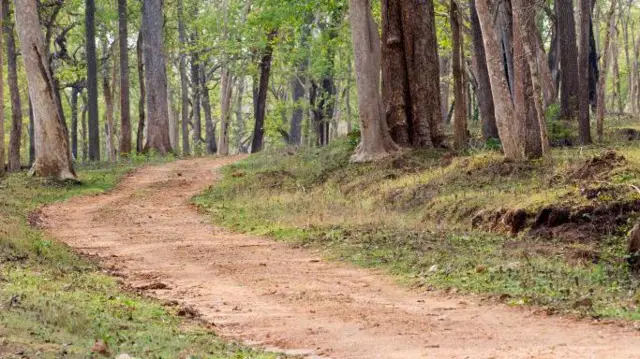 सांकेतिक तस्वीर.