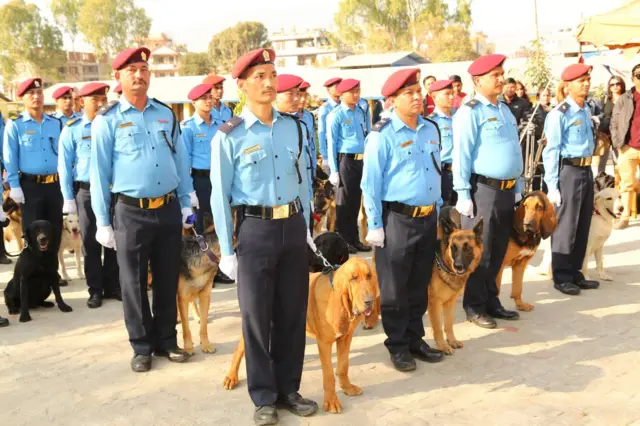 नेपाल प्रहरीका कुकुर र त्यसका ह्यान्डलरहरू लामबद्ध भएर उभिएको एउटा फाइल तस्बिर