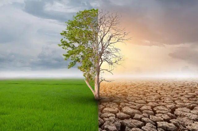 ਡਾਰਕ ਜ਼ੋਨ