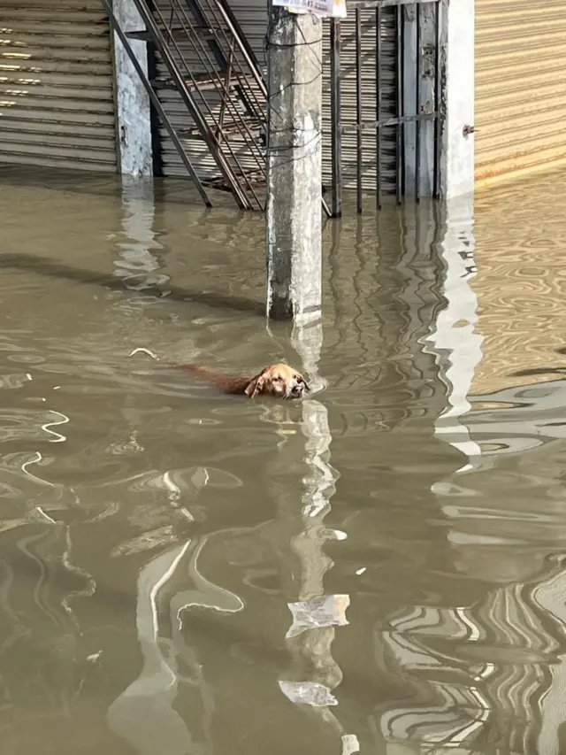 இலங்கை, திட்வா புயல், பாதிப்பு, மழை பாதிப்பு
