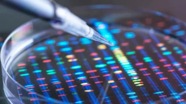 Instrumentos científicos em cima de uma análise de cromossomos