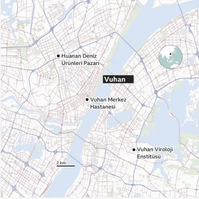 Bazı araştırmalar, virüsün Vuhan kentinde deniz ürünleri ve vahşi hayvanların satıldığı bir pazarda insanlara bulaşmış olabileceği sonucuna varmıştı. Bu pazar, dünyanın en gelişmiş virüs laboratuvarlarına sahip ve daha önce de koronavirüsler üzerine çalışmalar yaptığı bilinen Vuhan Viroloji Enstitüsü’ne arabayla 40 dakika uzaklıkta.
