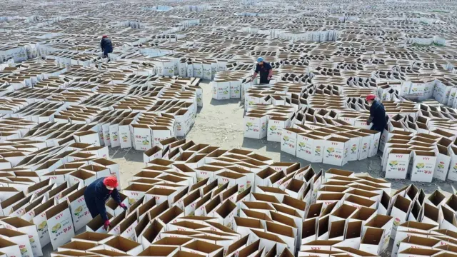 Tingkat permintaan karton meningkat di dunia. 