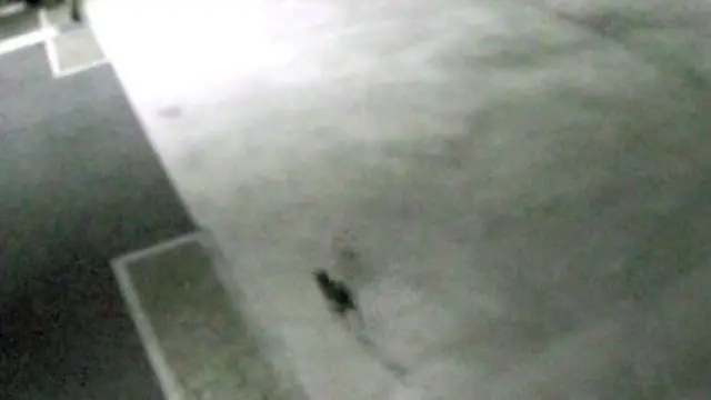 工場の監視カメラ映像の静止画