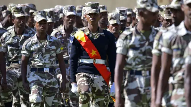 ከጦርነቱ መጀመር በፊት ክልሉ ከፍተኛ መጠን ያለው ልዩ ኃይል አሠልጥኖ ነበር 