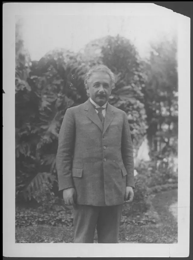 Albert Einsteinsuporte br sportingbetterno e gravata com vegetação ao fundo