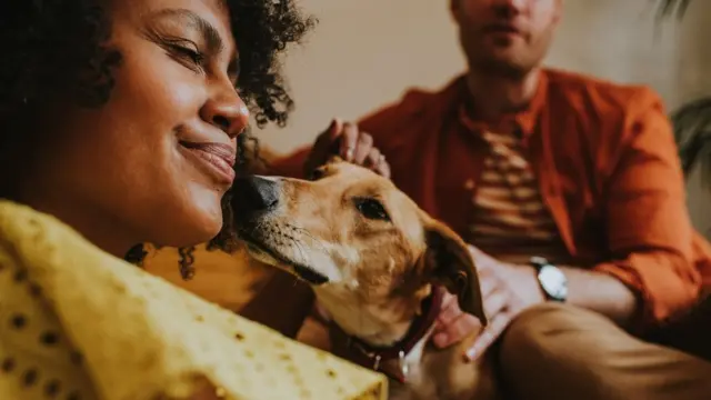 অনুর্বরতার সাথে দূষণের সম্পর্ক অনুসন্ধান করতে গৃহপালিত কুকুরের ওপর পরীক্ষা চালিয়েছেন বিজ্ঞানীরা