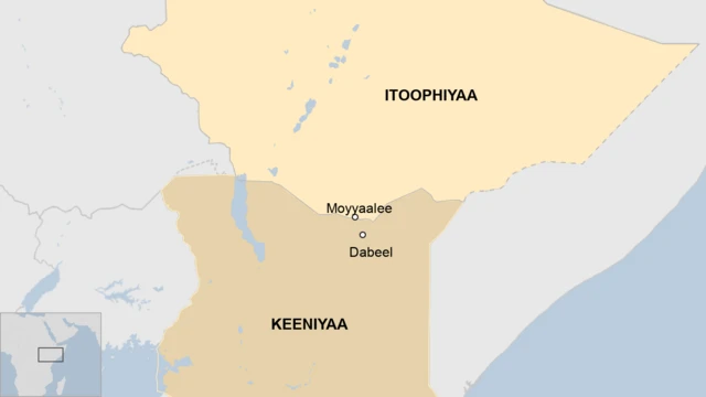 Bakka taateen kun mudate Dabeel, Keeniyaa kaartaa agarsiisu
