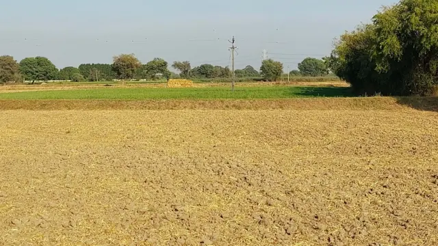 સુરેન્દ્રનગર, કલેક્ટર સામે ભ્રષ્ટાચારનો કેસ, ડૉ. રાજેન્દ્ર પટેલ, બીબીસી ગુજરાતી