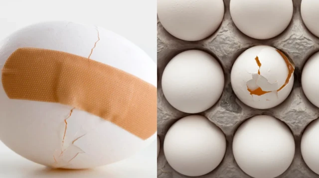 Piraankii daa'imman mufachiisu irra deddeebiin hojjechuun amanamtummaa maatii gadi buusa