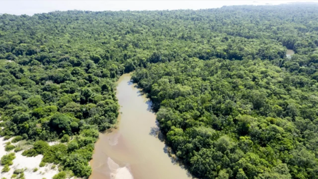 Paisagem da Amazonia