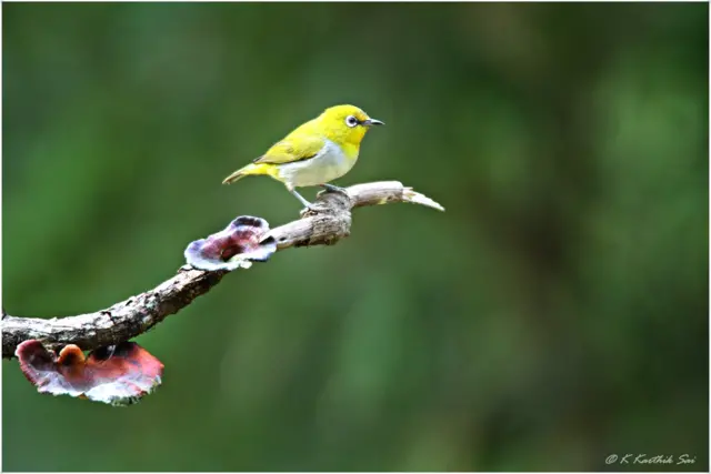 వరల్డ్ ఫొటోగ్రఫీ డే 