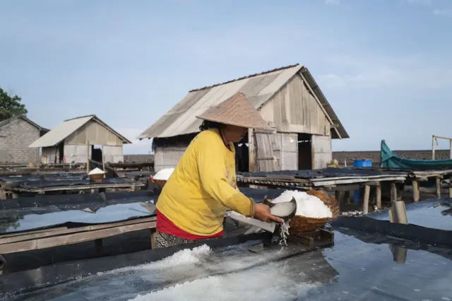 Ilustrasi petambak garam.