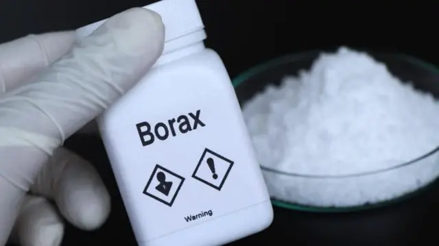 વજન ઘટાડવું, બૉરેક્સનું સેવન, વિદ્યાર્થિનીનું મોત, નિષ્ણાતો, હેલ્થ, બીબીસી ગુજરાતી