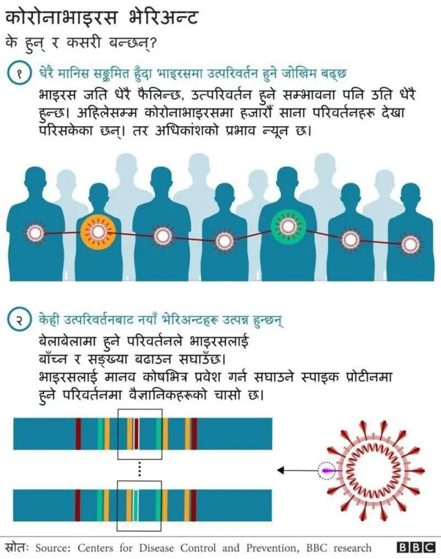 कोरोनाभाइरस र भेरिअन्ट
