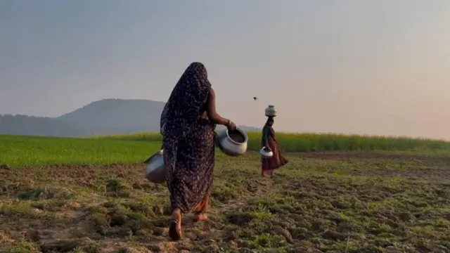 કેન બેતવા નદી જોડાણ પર્યાવરણના પ્રશ્નો, પન્ના ટાઇગર રિઝર્વ, ગીધ પુર્વાસ, બુંદેલખંડમાં પાણી, નરેન્દ્ર મોદી શિલાન્યાસ, ગામ ડૂબમાં જશે, ઉત્તર પ્રદેશ અને મધ્ય પ્રદેશ સરકાર યોજના, બીબીસી ગુજરાતી, બીબીસી ન્યૂઝ ગુજરાતી