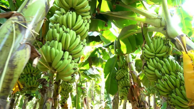 అనంతపురం