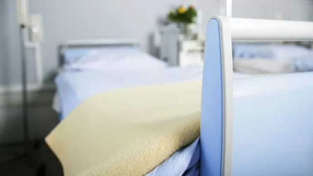 ٹرانسپلانٹ 