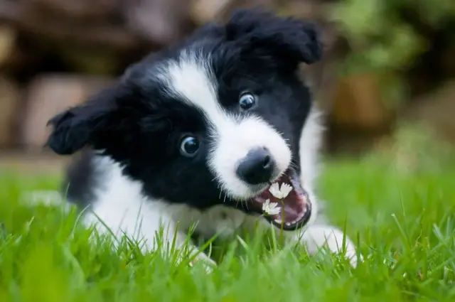 መብዛሕትኦም ኣኽላባት ሳዕሪ ድሕሪ ምግሃጾም ኣይሓሙን